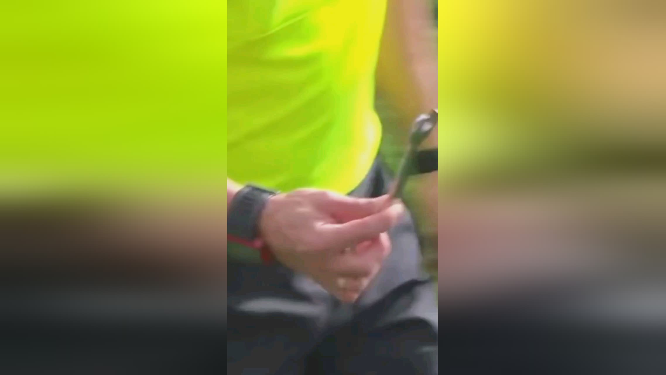先發陣容的